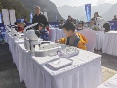 取AI敌手展开智力